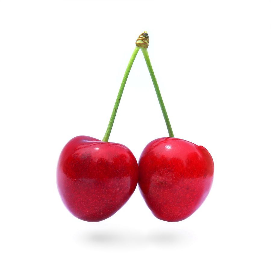 Cherry 'Stella'