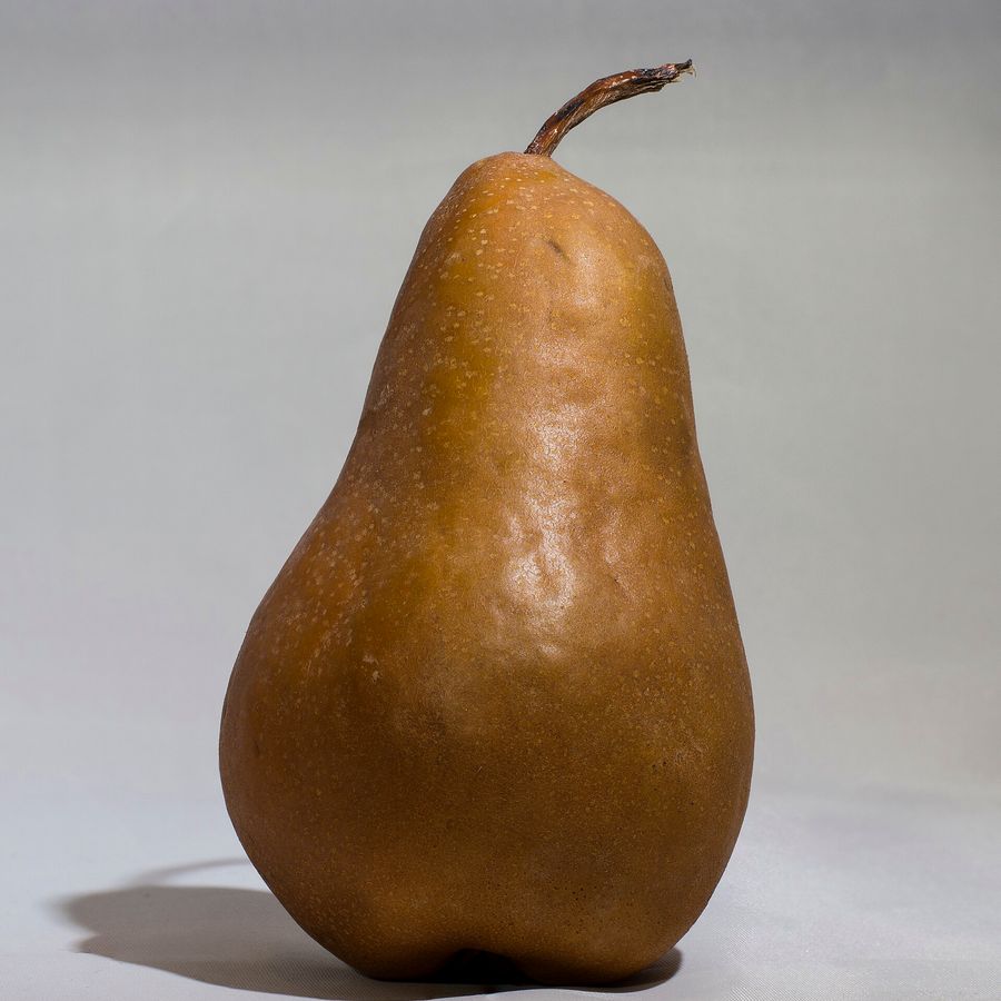 Pear 'Beurré Bosc'